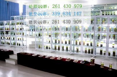 四川中醫(yī)藥高等?？茖W校
