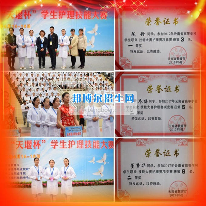 云南新興職業(yè)學院學生參加2017年全國、全省技能大賽斬獲佳績
