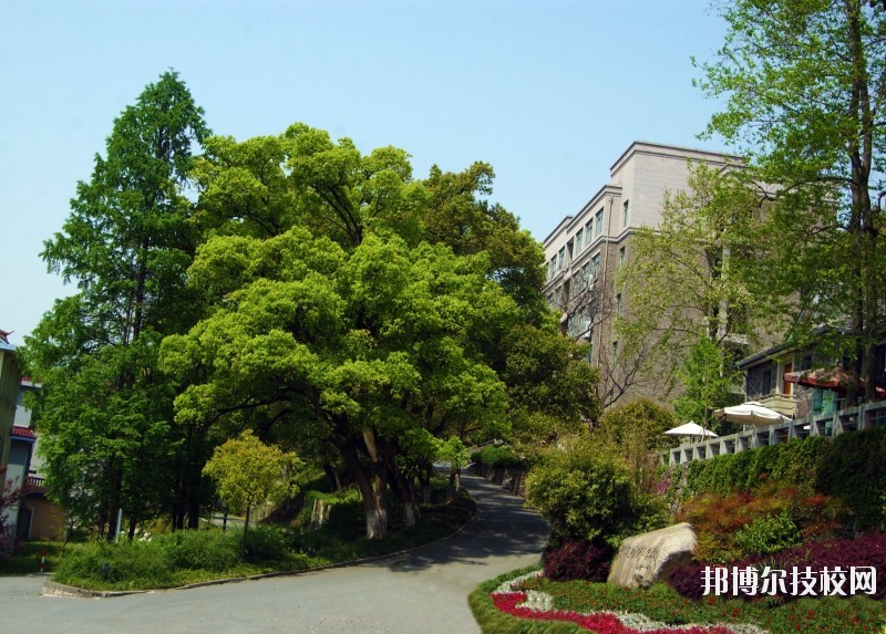 中國美術(shù)學(xué)院附屬中等美術(shù)學(xué)校2020年報(bào)名條件、招生要求、招生對象
