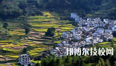 江西婺源茶葉學(xué)校2020年報(bào)名條件、招生要求、招生對(duì)象