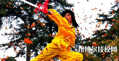 平?jīng)鲠轻嘉奈鋵W(xué)校2020年報名條件、招生要求、招生對象