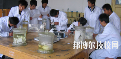 臨夏農(nóng)業(yè)學(xué)校2020年學(xué)費、收費多少