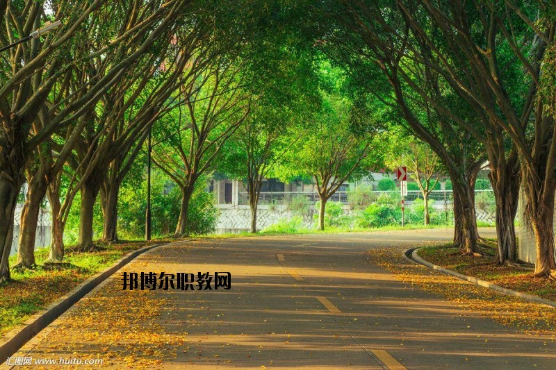 仙桃金園職業(yè)高級中學(xué)2020年報(bào)名條件、招生要求、招生對象