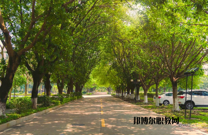河南團(tuán)校2021年報(bào)名條件、招生要求、招生對(duì)象