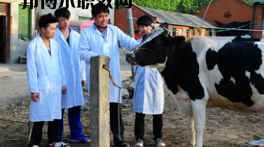 甘南畜牧學(xué)校2020年學(xué)費(fèi)、收費(fèi)多少