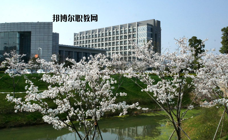 中國(guó)藥科大學(xué)2020年報(bào)名條件、招生要求、招生對(duì)象