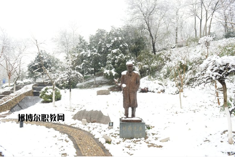南京工業(yè)大學2020年報名條件、招生要求、招生對象