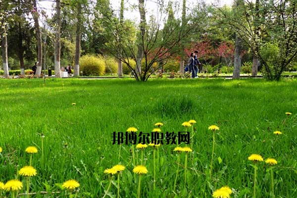 雙江縣職教中心2020年報(bào)名條件、招生要求、招生對象