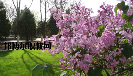 金川公司技工學(xué)校2020年報(bào)名條件、招生要求、招生對(duì)象