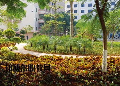 湛江技師學(xué)院怎么樣、好不好