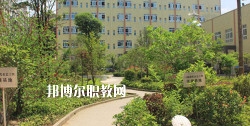 道真中等職業(yè)學(xué)校2020年報(bào)名條件、招生要求、招生對(duì)象