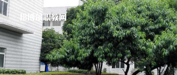 成都市中山職業(yè)技術(shù)學(xué)校2022年報名條件、招生要求、招生對象