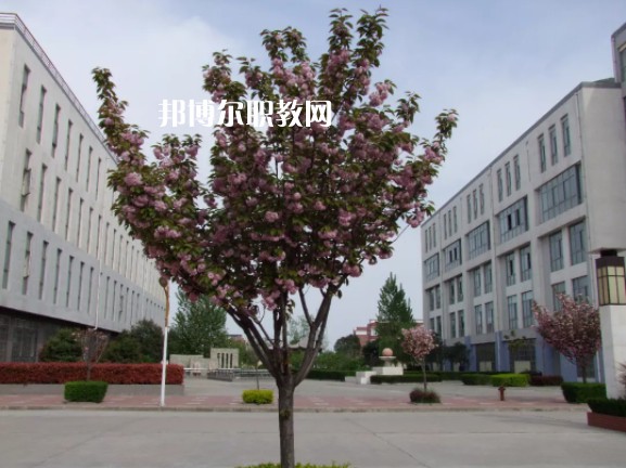 陳倉區(qū)職業(yè)教育中心2022年報名條件、招生要求、招生對象