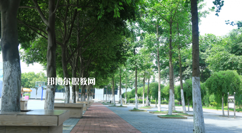 樂山計(jì)算機(jī)學(xué)校怎么樣、好不好