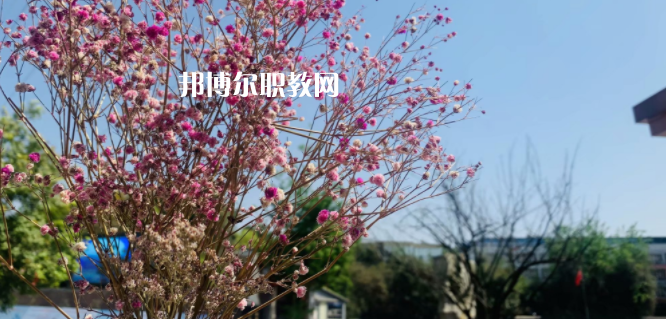 成都華大醫(yī)藥衛(wèi)生學校怎么樣、好不好