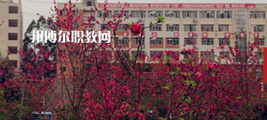 岑溪市中等專業(yè)學(xué)校2022年報名條件、招生要求、招生對象
