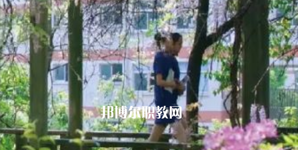 2023金華市成功學校招生計劃 招生人數(shù)是多少(附要求、條件、對象)