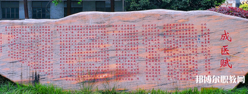 成都成醫(yī)一附院護(hù)士學(xué)校2024年學(xué)費(fèi)、收費(fèi)多少