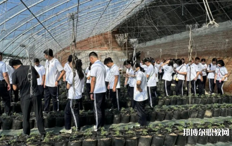 2024營口市農(nóng)業(yè)工程學(xué)校招生計劃 招生人數(shù)是多少(附要求、條件、對象)